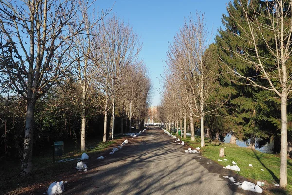 Canale Cavour Avenue Boulevard Chivasso Italy — Stock Photo, Image