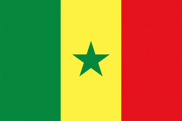 Senegalese National Flag Senegal Africa Texturized — Stock Photo, Image