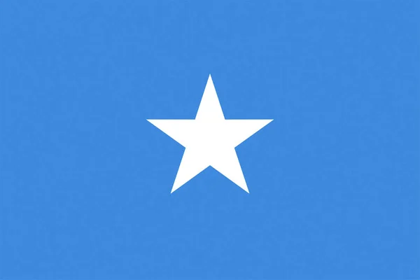 Somalijska Flaga Narodowa Somalii Afryka Teksturowana — Zdjęcie stockowe