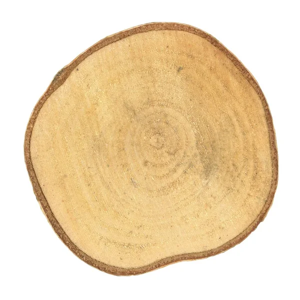 Przekrój Pnia Drzewa Pokazujący Pierścienie Wzrostu Odizolowane Białym Tle — Zdjęcie stockowe