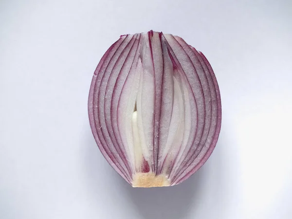 Dilimlenmiş Kırmızı Soğan Bilimsel Adı Allium Cepa Namı Diğer Soğan — Stok fotoğraf
