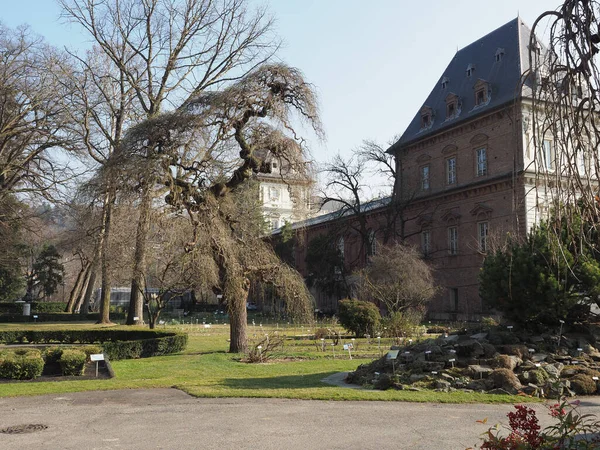 Królewskie Ogrody Botaniczne Turynie Włochy — Zdjęcie stockowe