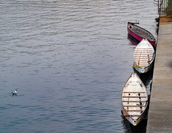 Csónakok Egy Folyón Dokkolt Folyó Partján — Stock Fotó