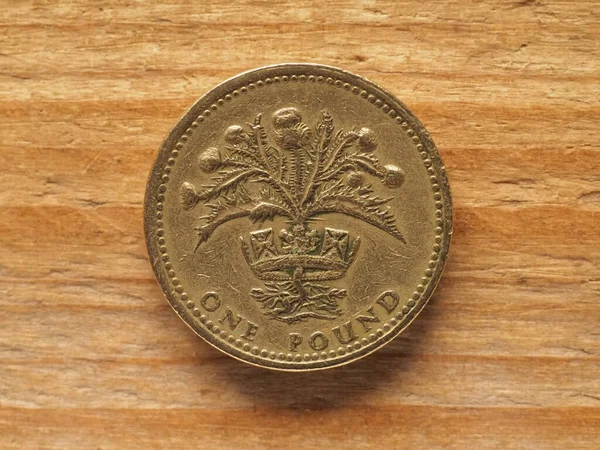 1磅硬币背面显示西斯特尔和迪阿德姆代表英国货币苏格兰 — 图库照片