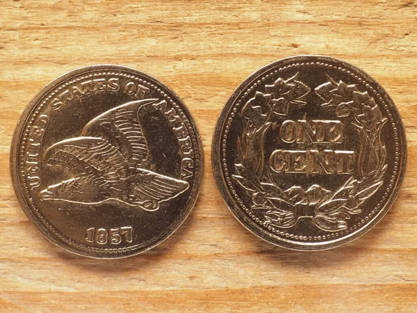 Monnaie Des États Unis Dollar Cent Pièce Avers Montrant Aigle — Photo