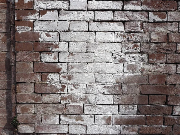 Damage Caused Efflorescence Dampness Moisture Red Brick Wall — Stock Photo, Image