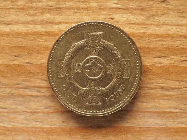 Moneta Funtowa Odwrotna Wskazująca Celtycki Krzyż Kwiatem Pimpernela Momentem Obrotowym — Zdjęcie stockowe