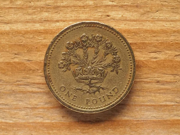 1磅硬币背面显示亚麻植物和代表联合王国货币北爱尔兰的Diadem — 图库照片