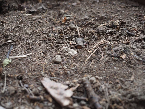 Kahverengi Toprak Dokusu Arka Plan Olarak Kullanışlı Seçici Odaklanma — Stok fotoğraf