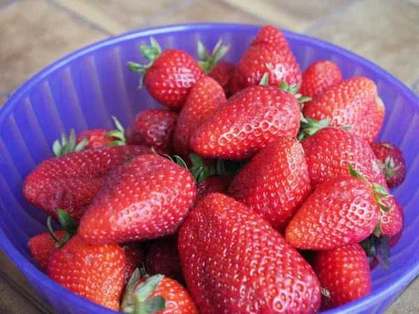 Jordgubbar Vegetarisk Frukt Mat Skål — Stockfoto