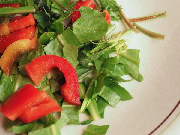 Sla Rode Paprika Salade Schotel Achtergrond — Stockfoto