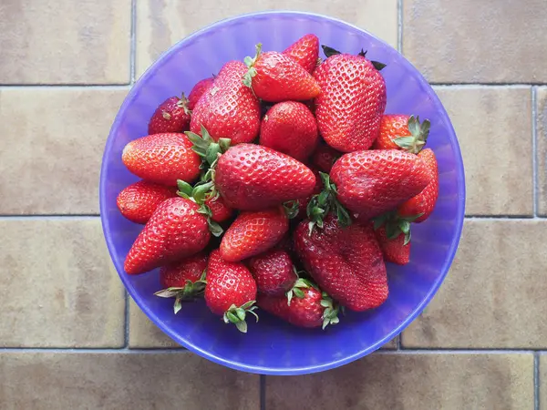 Erdbeeren Wissenschaftlicher Name Fragaria Ananassa Vegetarische Fruchtnahrung Einer Schüssel — Stockfoto