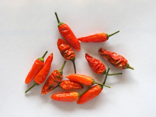 Piment Rouge Nom Scientifique Capsicum — Photo