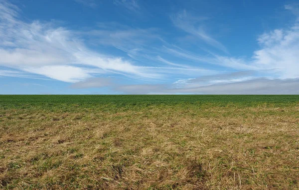 Paysage Avec Prairie Verte Ciel Spectaculaire — Photo