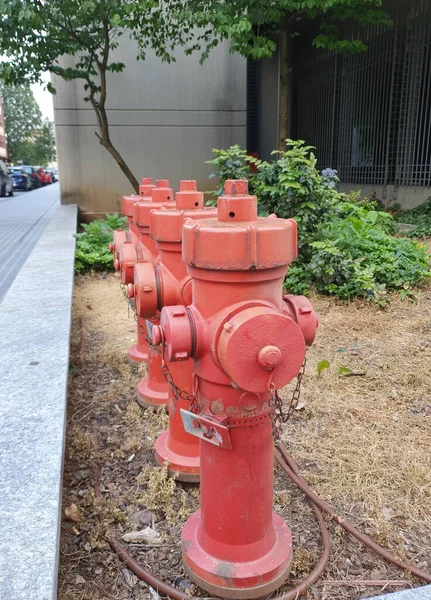 Série Čtyř Červených Požární Hydrant Venkovní — Stock fotografie