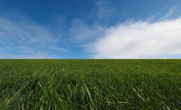 Ландшафт Зеленым Лугом Драматическое Небо Солнечными Вспышками — стоковое фото