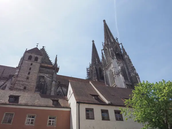 德国雷根斯堡的Regensburger Dom Aka Peter大教堂 — 图库照片