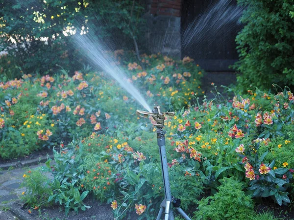 Rotating Nozzle Irrigation Sprinkler Aka Water Sprinkler — Stock Photo, Image