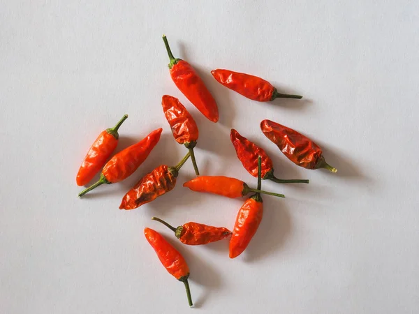 Red Hot Chili Pepper Nome Científico Capsicum — Fotografia de Stock