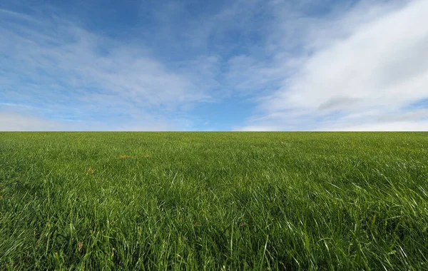 Landskap Med Grön Äng Och Dramatisk Himmel — Stockfoto