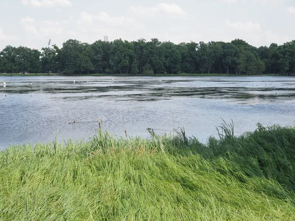 Jezioro Kleiner Dutzendteich Nuernberg Niemcy — Zdjęcie stockowe