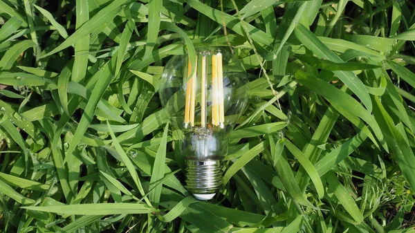Modern Energy Saving Led Bulb Grass — Stock Photo, Image