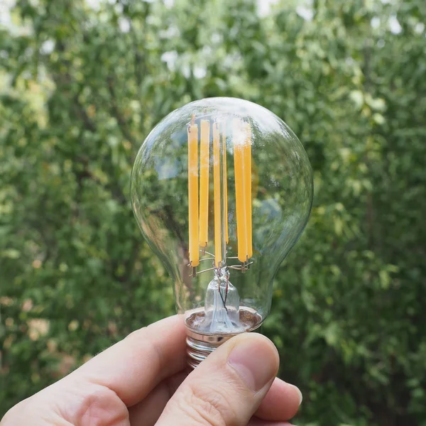 Modern Energy Saving Led Bulb Green Leaves — Fotografia de Stock