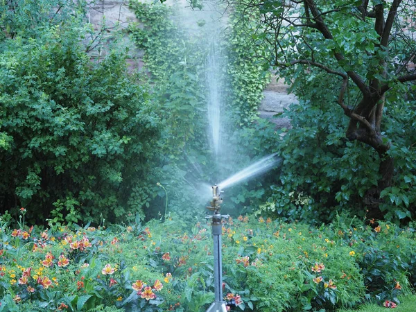 Rotierende Düse Bewässerungsregner Aka Ein Wasserregner — Stockfoto