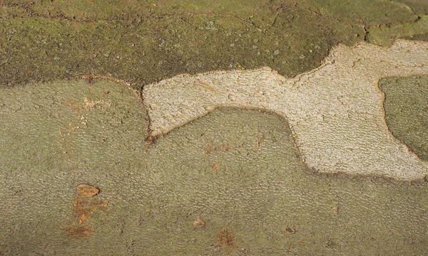 Industrial Style Camouflage Pattern Plane Tree Bark Useful Background — Stok fotoğraf