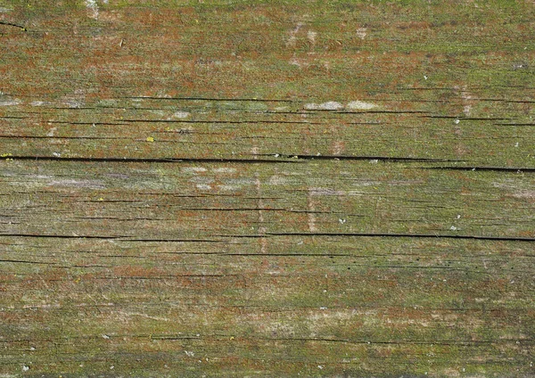 Textura Madeira Verde Resistida Com Musgo Útil Como Fundo — Fotografia de Stock