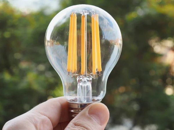 Hand Holding Modern Low Energy Led Filament Bulb Green Background — Φωτογραφία Αρχείου
