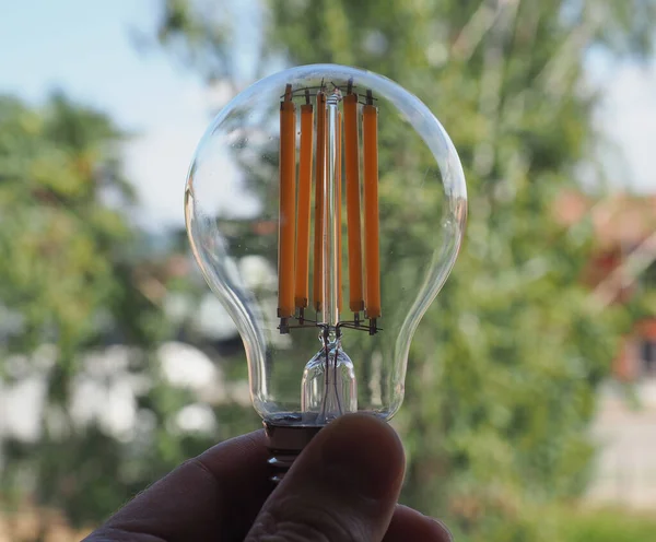 Сучасна Енергозберігаюча Лампа Проти Зеленого Листя — стокове фото
