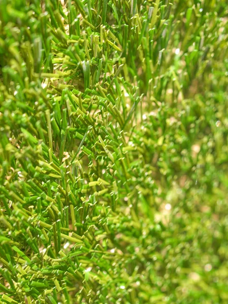 Industrial Style Detail Green Grass Artificial Lawn Meadow Useful Background — Stock fotografie