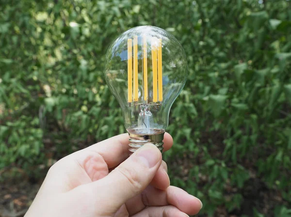 Сучасна Енергозберігаюча Лампа Проти Зеленого Листя — стокове фото