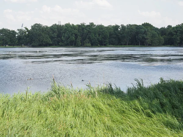 Jezero Kleiner Dutzendteich Nuernbergu Německo — Stock fotografie