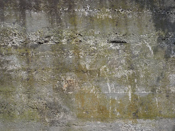 arkaplan olarak kullanışlı gri beton doku