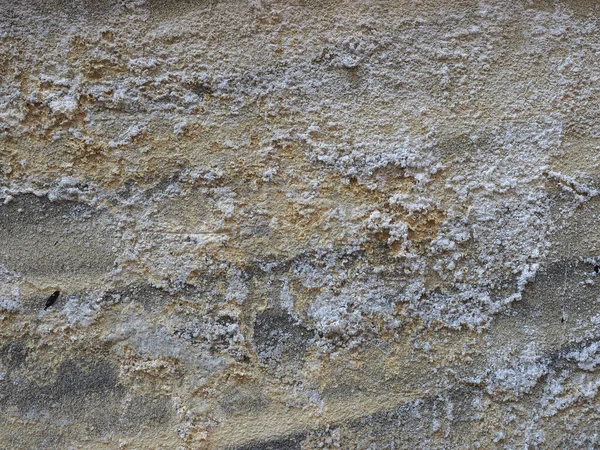 damage caused by dampness and moisture on a wall