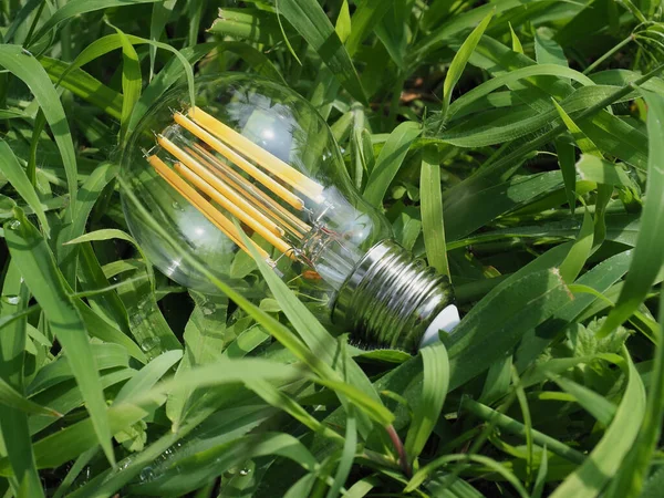 Modern Energy Saving Led Bulb Grass — Fotografia de Stock