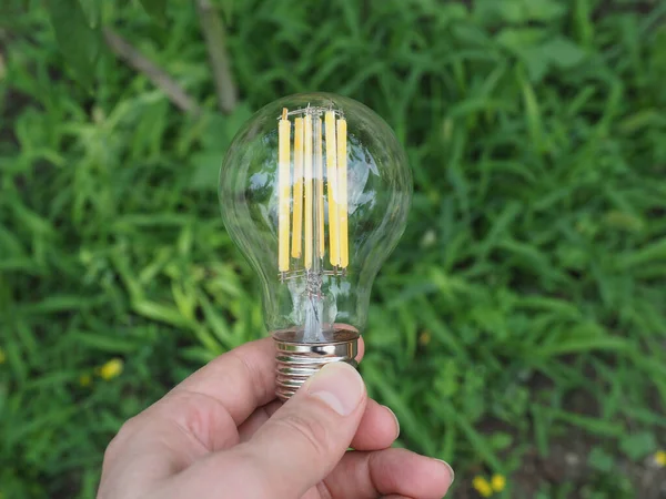 modern energy saving led bulb in the grass