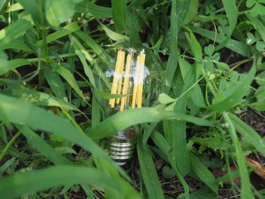 Çimenlerde modern enerji tasarruf ampulü