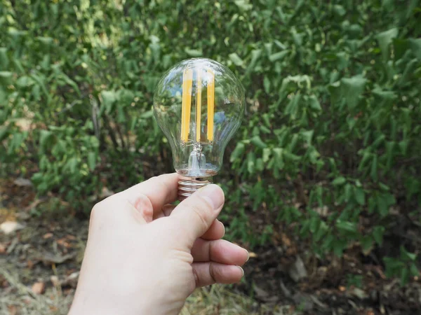 Modern Energy Saving Led Bulb Green Leaves — 图库照片