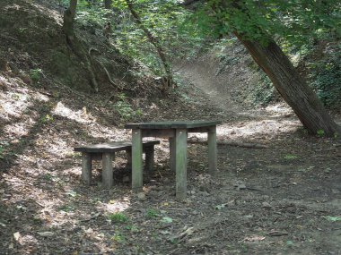 Wilsonuv les translation Wilson Ormanı, Brno, Çek Cumhuriyeti