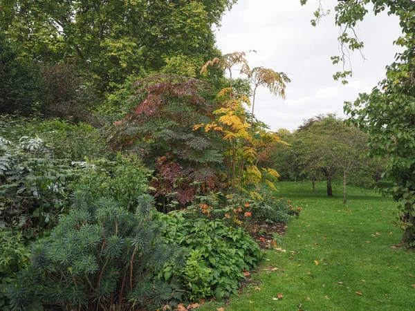 Vista Del Saint James Park Londra Regno Unito — Foto Stock