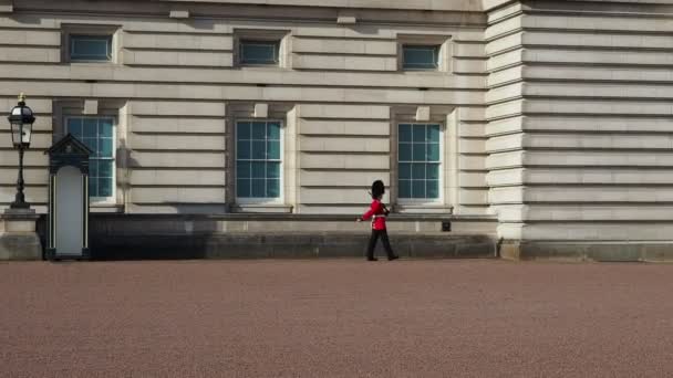 London Storbritannien Circa Oktober 2022 Kungsvakter Vid Buckingham Palace — Stockvideo