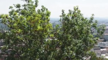 Çek Cumhuriyeti 'nin Brno kentinin hava manzarası