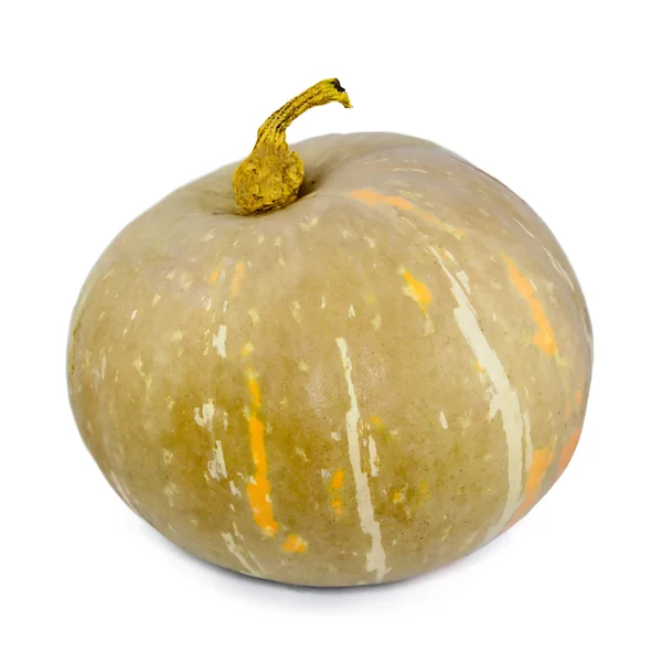 Pumpkin — Stock Photo, Image