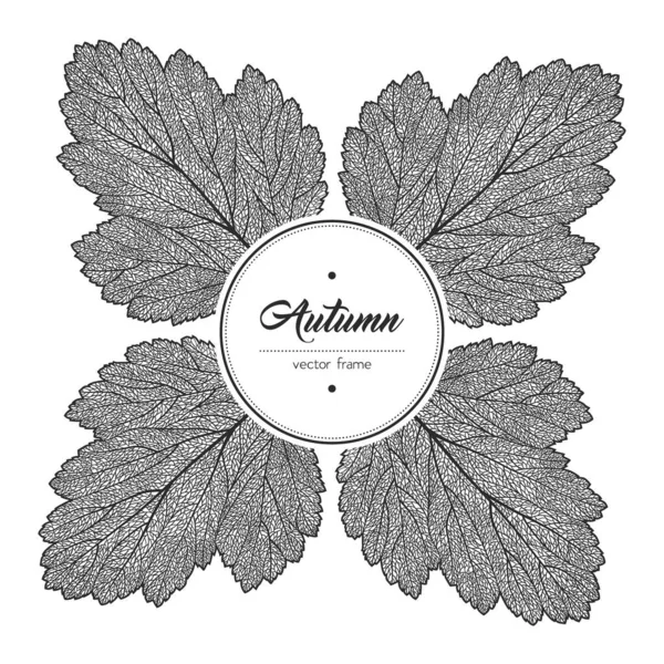 Marco redondo de hoja de otoño blanco y negro — Vector de stock
