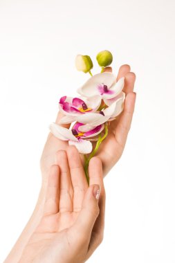 güzel eller, kavram