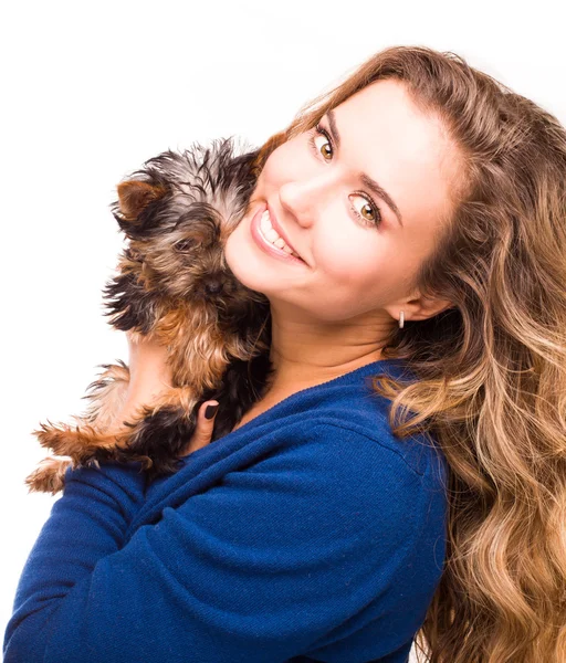 Schattig meisje houden yorkshire terrier-honden — Stockfoto