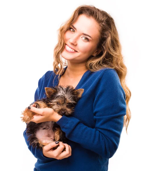 Hermoso veterinario con perro — Foto de Stock